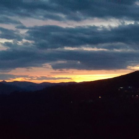 Chalet Por Do Sol Castro Daire Εξωτερικό φωτογραφία