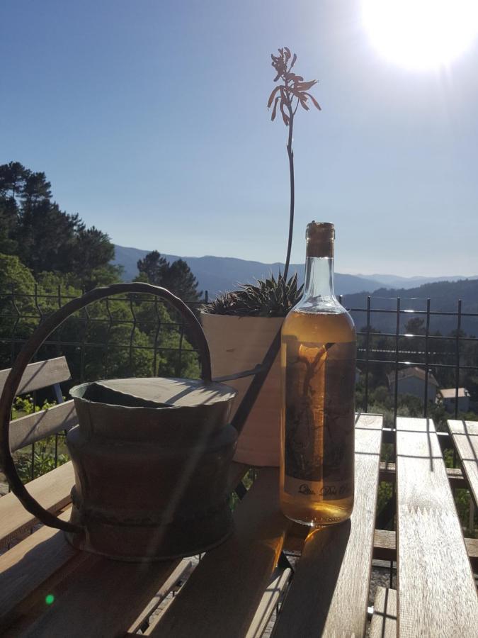 Chalet Por Do Sol Castro Daire Εξωτερικό φωτογραφία